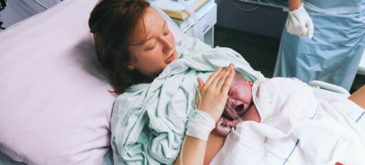 Förlossningen steg för steg – från latensfasen till bebis