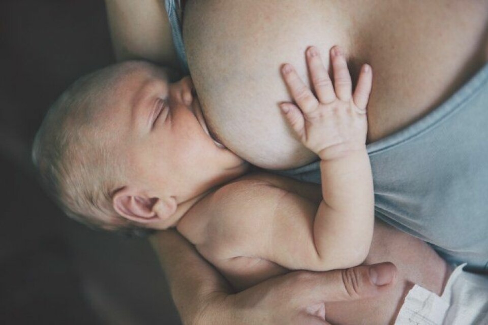 Bebis som blir ammad av sin mamma