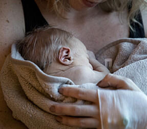 Kraftig minskning av nyfödda i Sverige