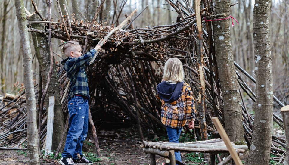 Barn som bygger koja i skogen