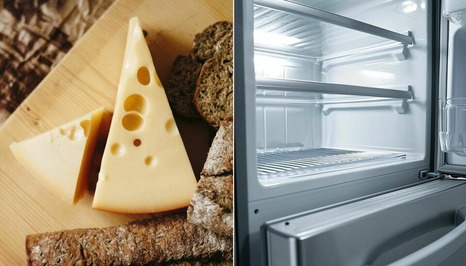 Kan man frysa in ost? I den här artikeln ger vi dig svaret och tipsen.